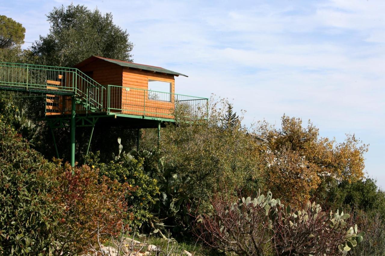 Switzerland In Lodge Amirim